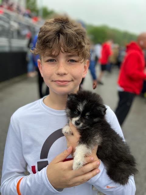 Boy Holding a Puppy