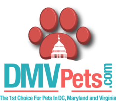 DMV Pets 